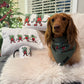 Dachshund Pillow - GRINCH WEENVILLE - that’s it I’m not going