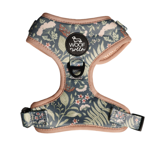 Adjustable Dog Harness - BOTANICAL PUP