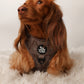 Adjustable Dog Harness - WESTERN