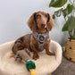 Adjustable Dog Harness - DUCK CAMO