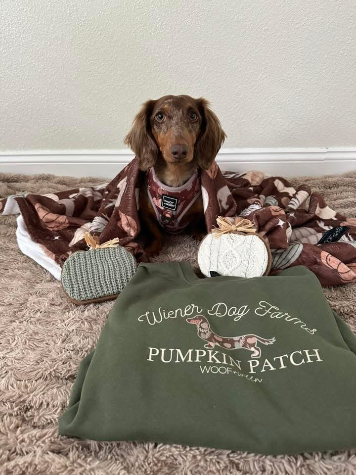 Dachshund Blanket - DACHSHUND OH MY GOURD