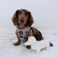 Dachshund Adjustable Harness - WHIMSICAL WEENS