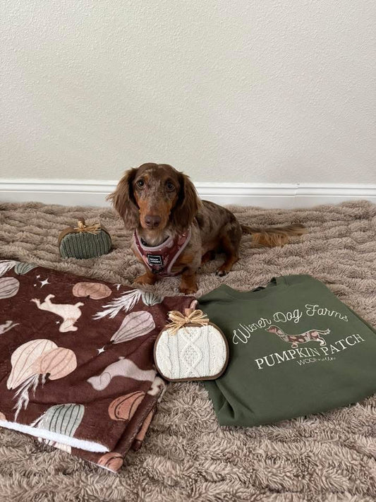 Dachshund Sweatshirt - OH MY GOURD (long hair)