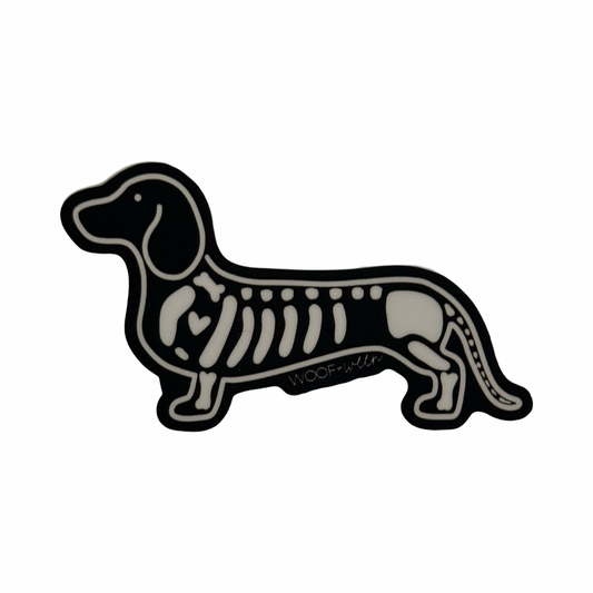 Dachshund Sticker - SKELEWEEN  - skeleton dachshund