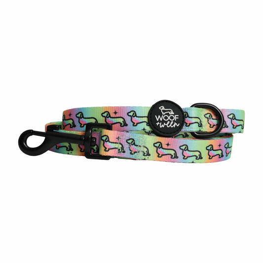 Leash - HOT DIGGITY DOG