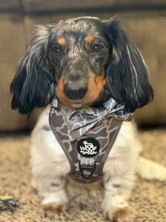 Adjustable Dog Harness - DUCK CAMO