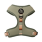 Sage green Dog harness with colorful striped straps on a white background