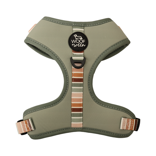 Sage green Dog harness with colorful striped straps on a white background