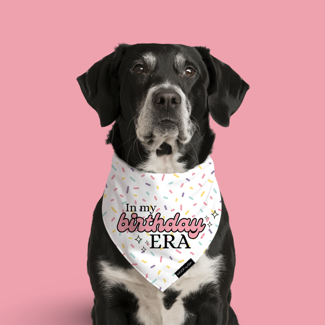 Dog birthday bandana pink