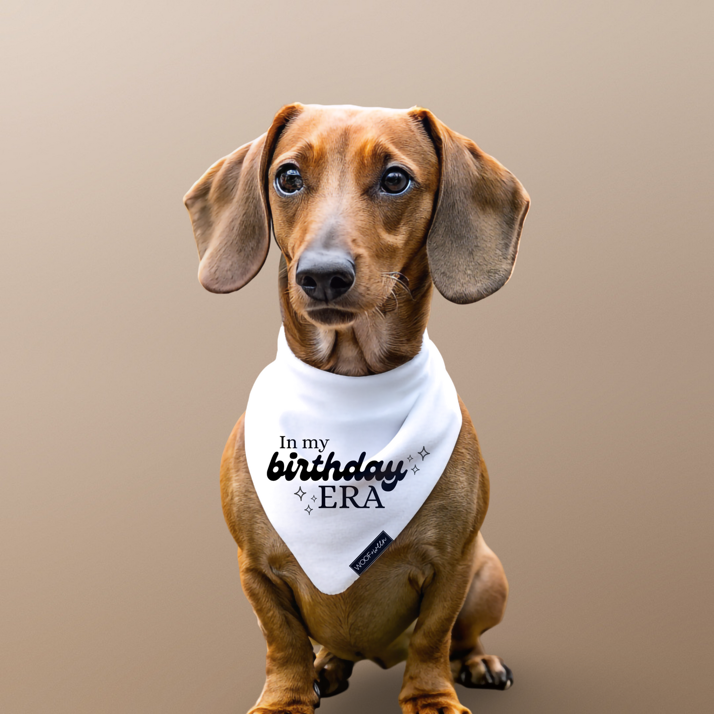 Dog birthday bandana