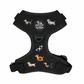 Halloweenie Doxies dachshund Halloween harness full set flat lay black knit