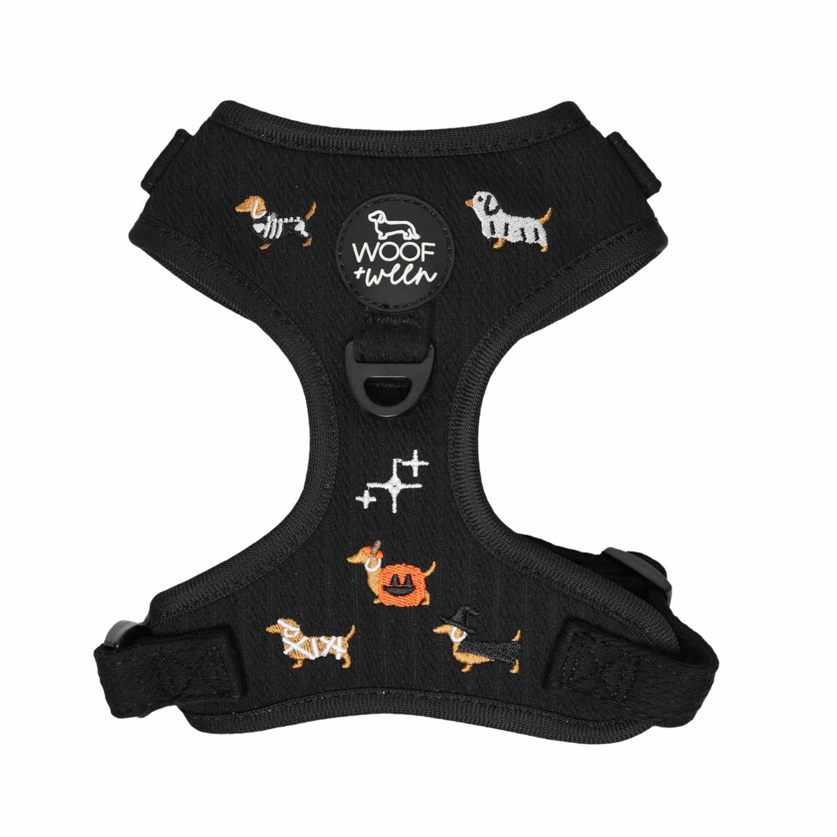Halloweenie Doxies dachshund Halloween harness full set flat lay black knit