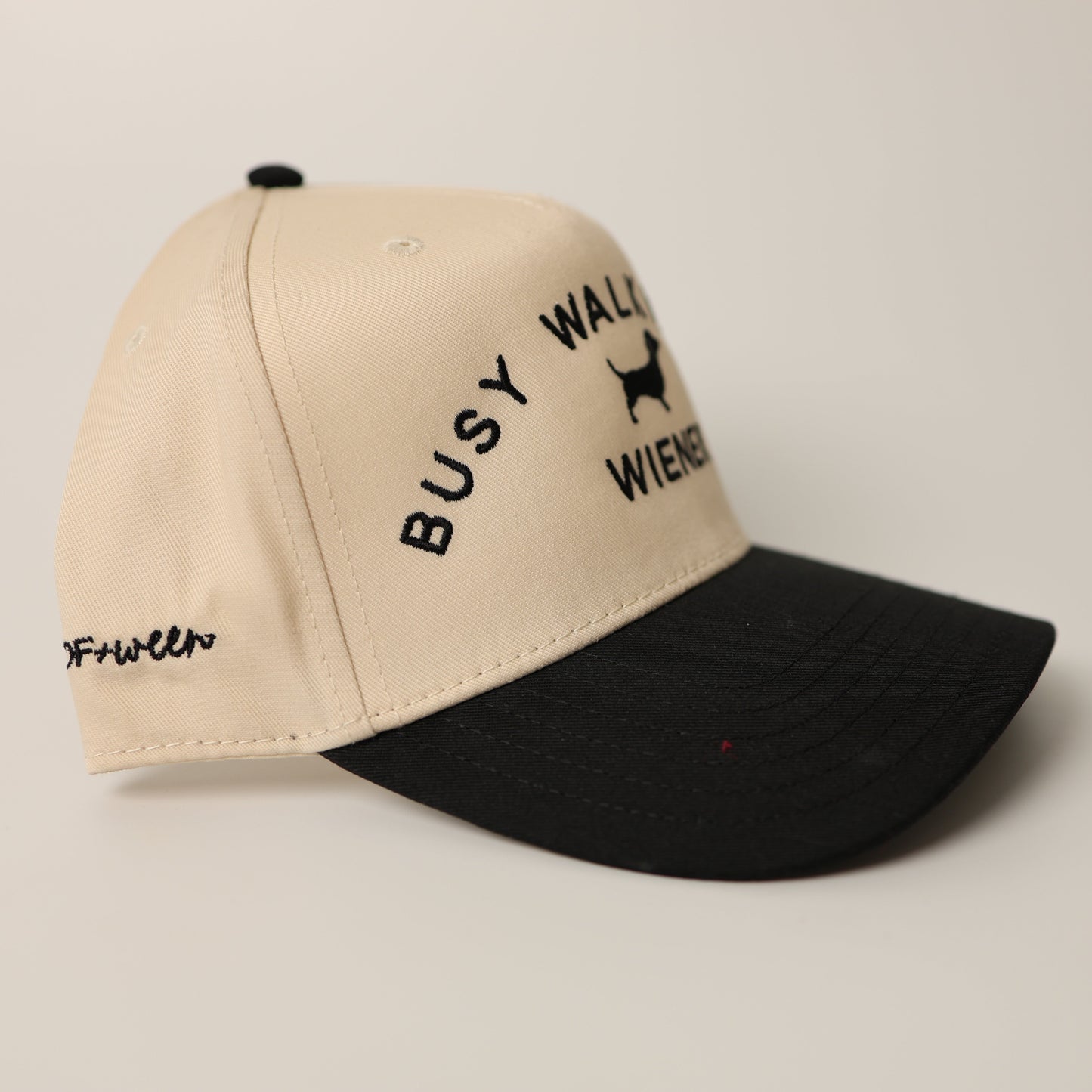 Dachshund Hat - Busy walking my wiener