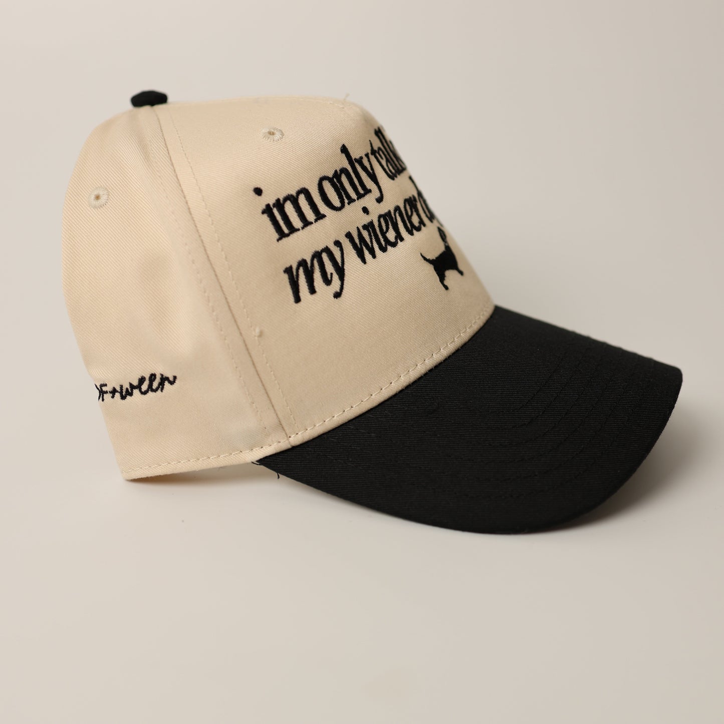Dachshund Hat - I'm only talking to my wiener dog today