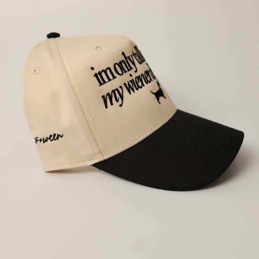 Dachshund Hat - I'm only talking to my wiener dog today