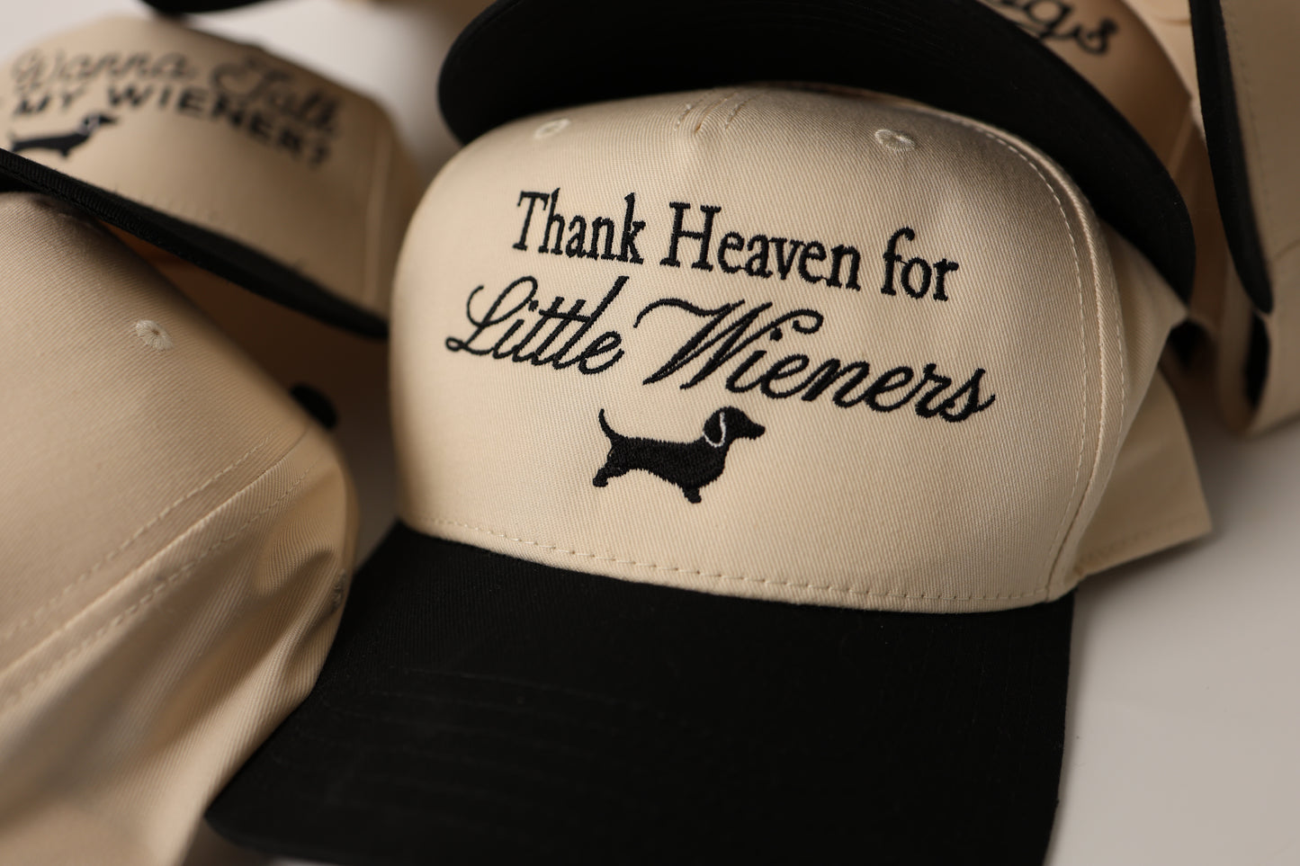Dachshund Hat - thank heaven for little wieners