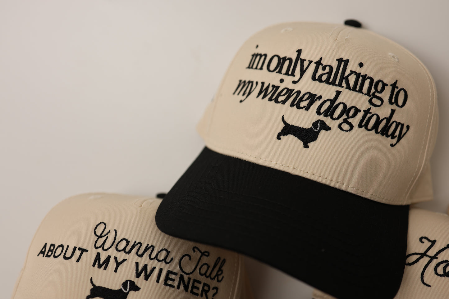 Dachshund Hat - I'm only talking to my wiener dog today