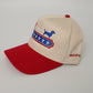 Dachshund Hat - Red White and Blue Doxie