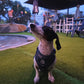 5-piece Bundle - I HEART DACHSHUNDS
