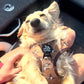 Adjustable Dog Harness - DUCK HUNTING DOG