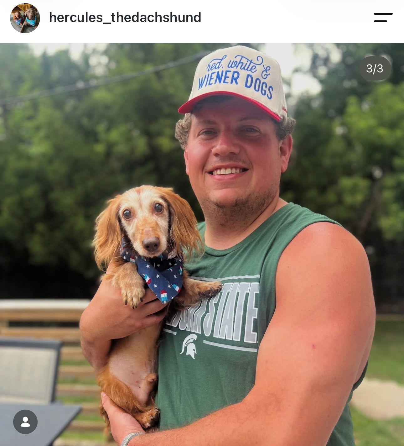 Dachshund Hat - Red White and Wiener Dogs