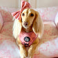 Adjustable Dog Harness - PINK COQUETTE