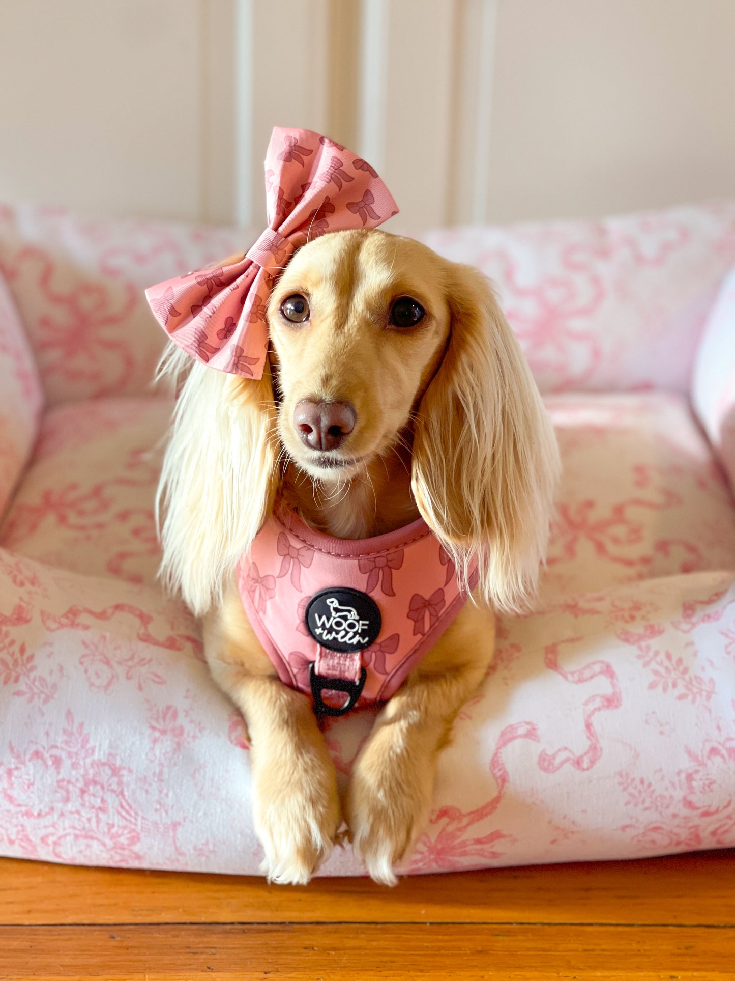 Adjustable Dog Harness - PINK COQUETTE