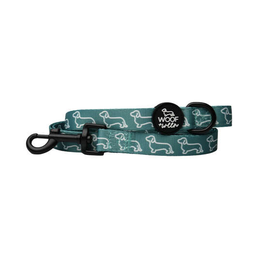 Teal dachshund pattern doxie leash