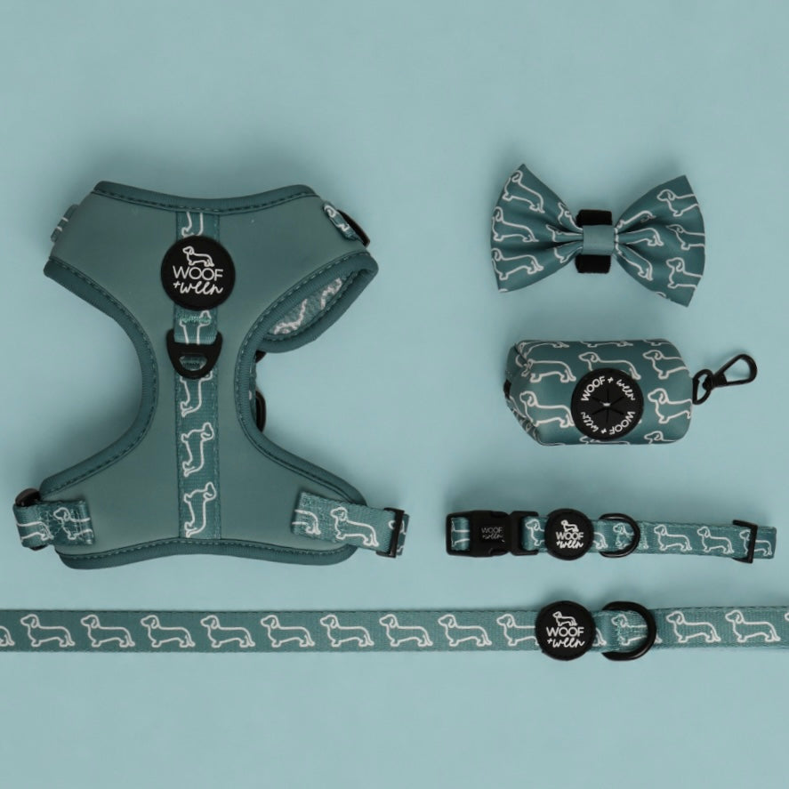 Teal blue dachshund pattern doxie harness collection with matching leash and collar for wiener dogs