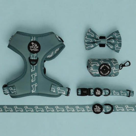 Teal blue dachshund pattern doxie harness collection with matching leash and collar for wiener dogs