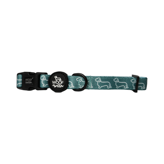 Teal dachshund pattern woof and ween doxie collar
