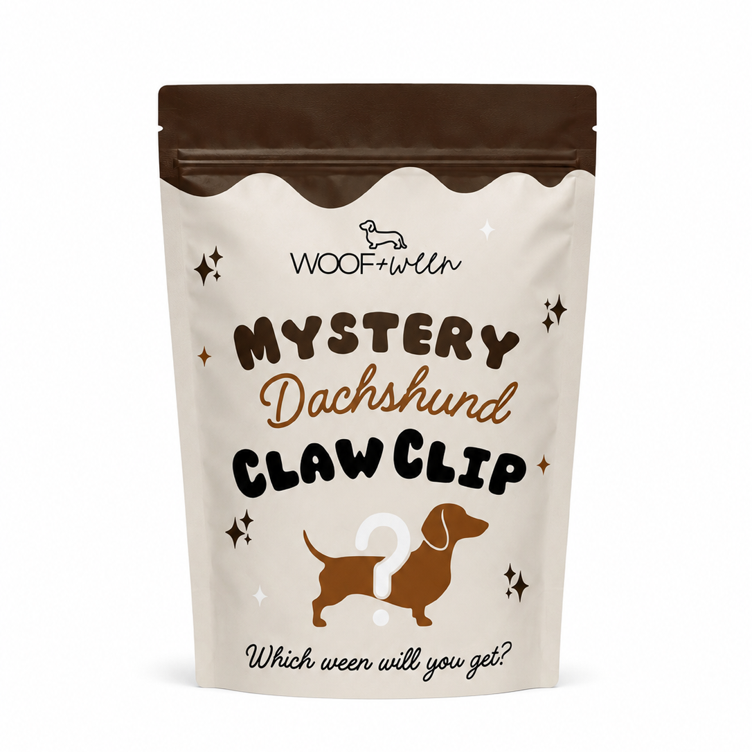 Ambassador mystery dachshund claw clip, random print, final sale