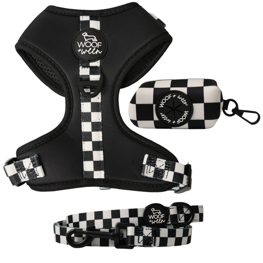 Black and white checkered dachshund racing dog harness, leash and waste bag holder walk bundle