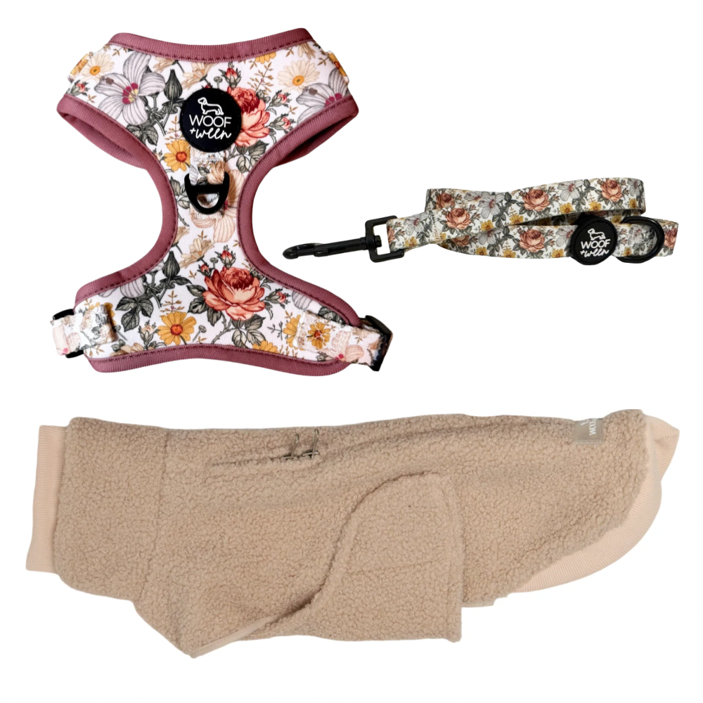 Build your own dachshund sweater bundle with a doxie sweater, harness and leash, view 10