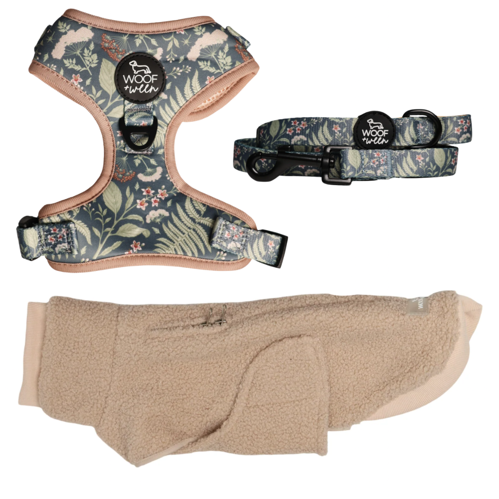 Build your own dachshund sweater bundle with a doxie sweater, harness and leash, view 11