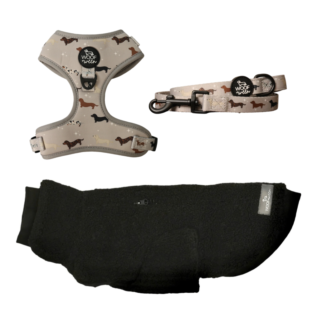 Build your own dachshund sweater bundle with a doxie sweater, harness and leash, view 3