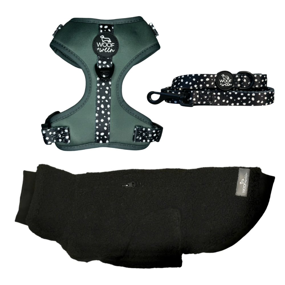 Build your own dachshund sweater bundle with a doxie sweater, harness and leash, view 6