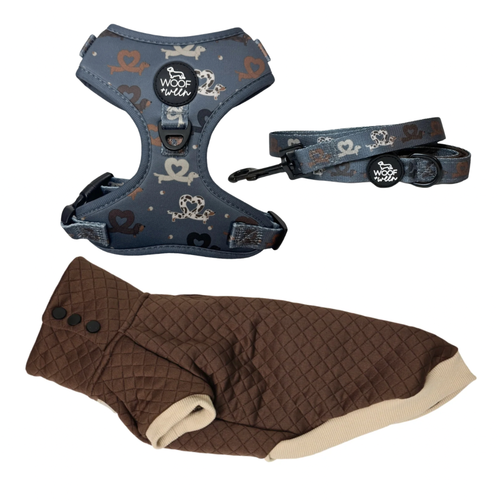 Build your own dachshund sweater bundle with a doxie sweater, harness and leash, view 7