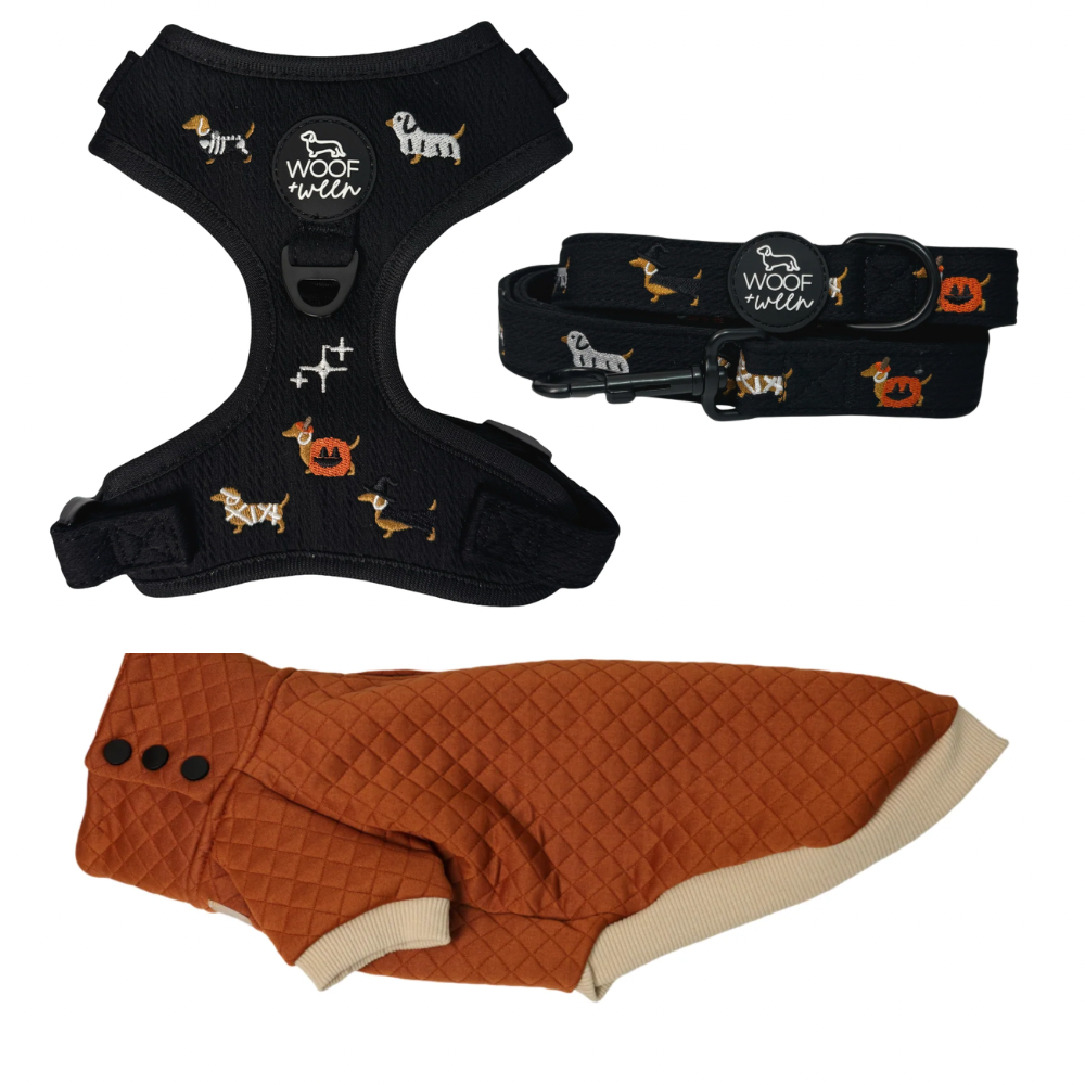 Build your own dachshund sweater bundle with a doxie sweater, harness and leash, view 8
