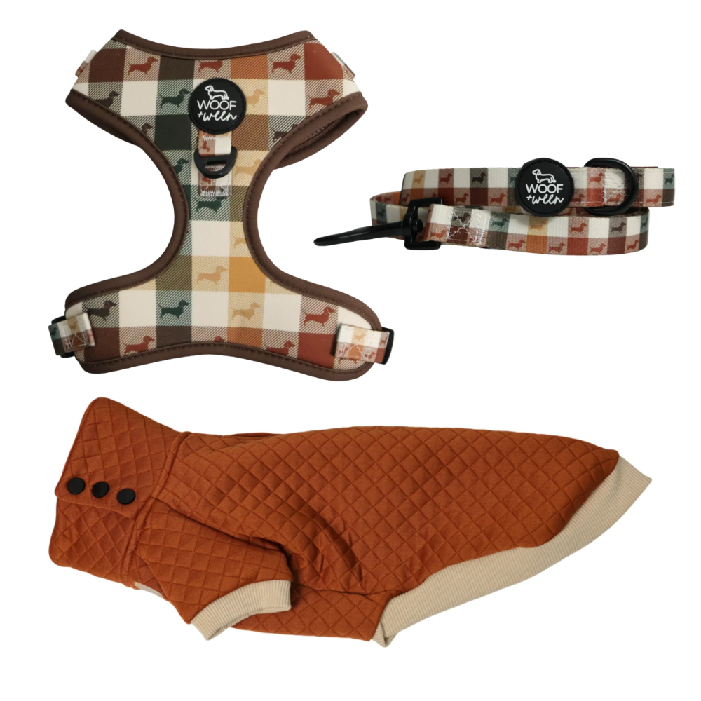 Build your own dachshund sweater bundle with a doxie sweater, harness and leash, view 9