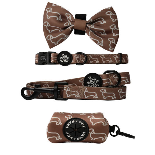 Camel dachshund print dog collar, bow, leash and waste bag holder accessory bundle for doxies