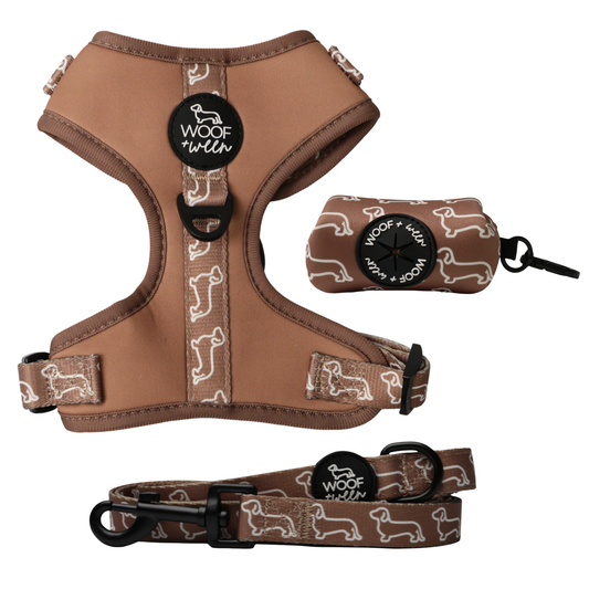 Camel dachshund print harness, leash and waste bag holder walk bundle for doxies