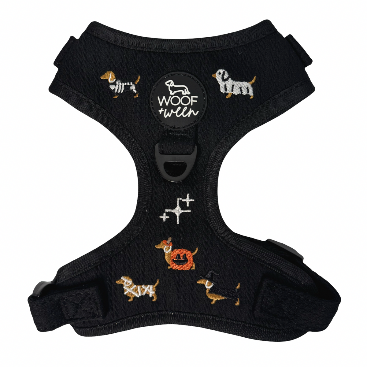 Dachshund wearing black knit Halloweenie Doxies embroidered adjustable harness