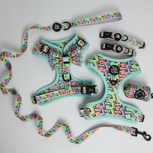Hot Diggity Dog rainbow dachshund harness, leash, collar, bow, and waste bag holder 5-piece bundle
