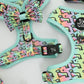 Hot Diggity Dog rainbow bow and collar detail