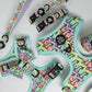 Dachshund wearing Hot Diggity Dog rainbow harness and collar
