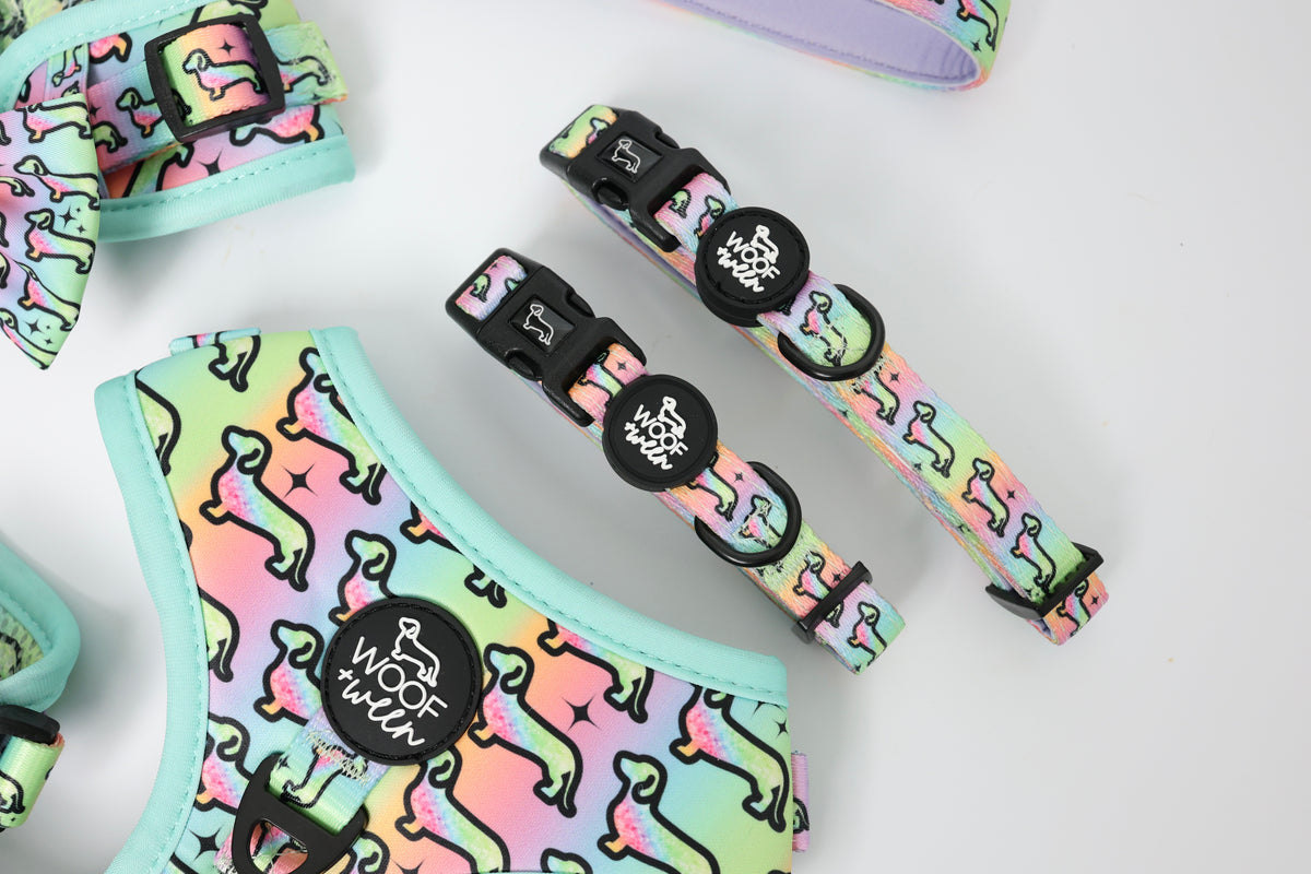 Hot Diggity Dog rainbow leash and waste bag holder close up