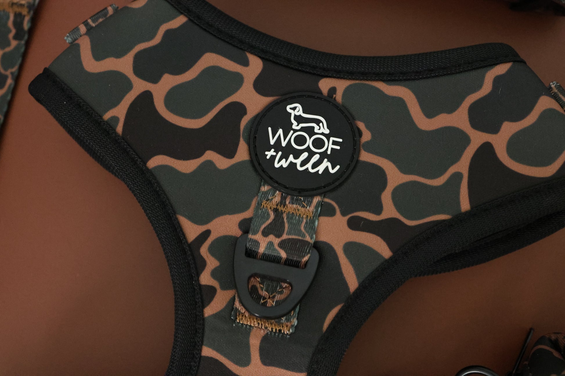 Dachshund puppy modeling Black Duck Camo adjustable harness