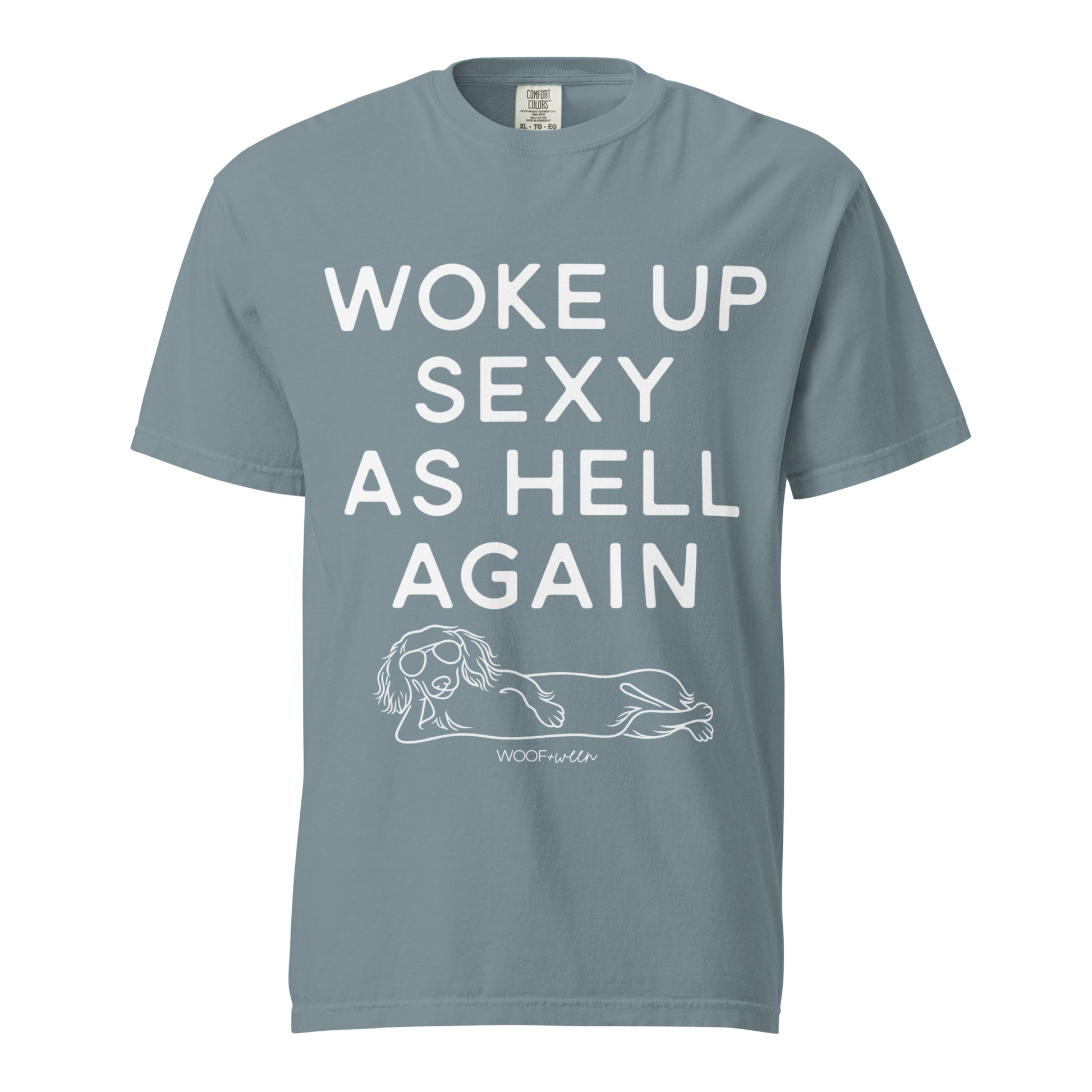 Ice Blue Woke Up Sexy As Hell dachshund shirt – long hair doxie tee, oversized swimsuit coverup