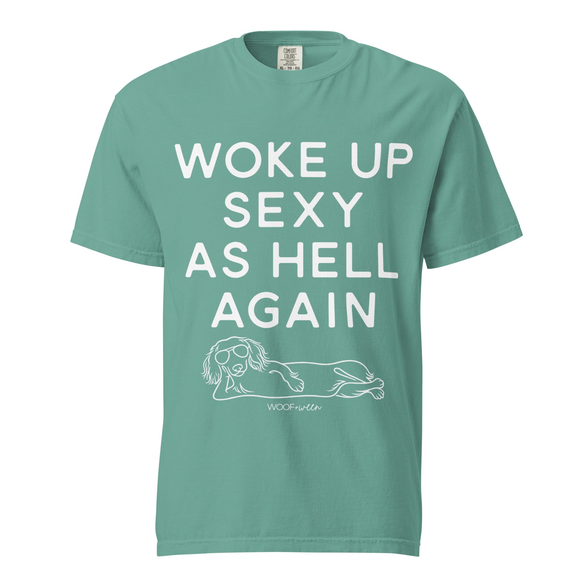 Seafoam Woke Up Sexy As Hell dachshund shirt – long hair doxie tee, oversized swimsuit coverup